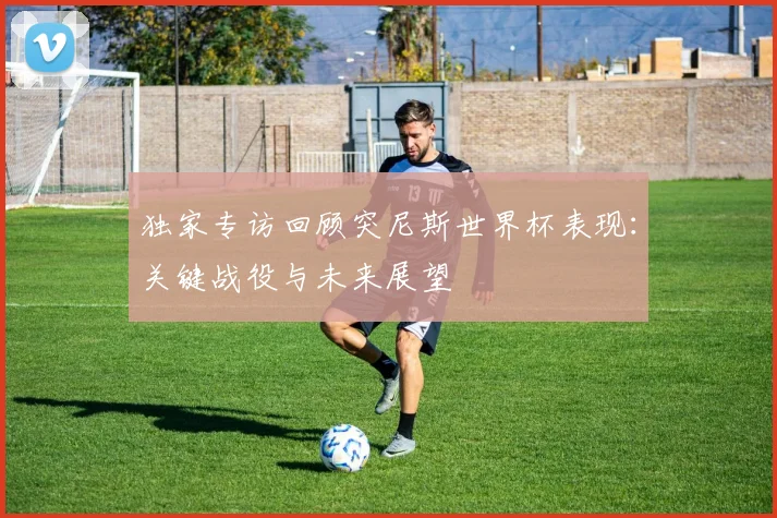 独家专访回顾突尼斯世界杯表现：关键战役与未来展望