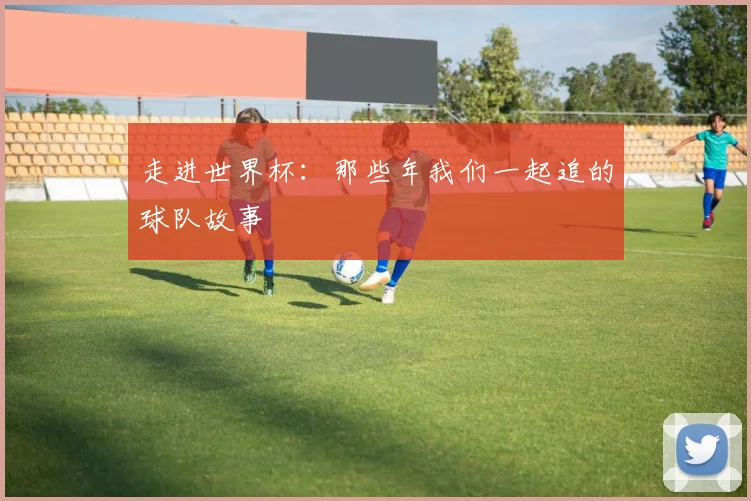 走进世界杯：那些年我们一起追的球队故事