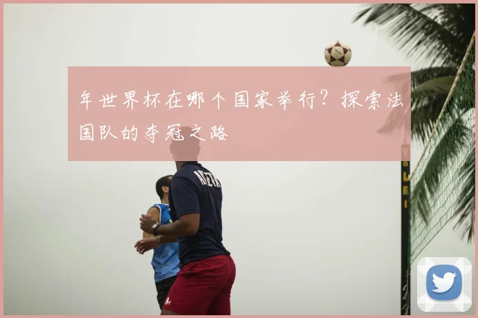 年世界杯在哪个国家举行?探索法国队的夺冠之路