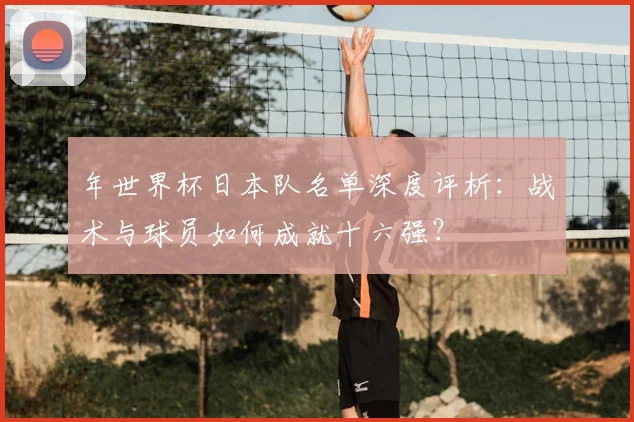 年世界杯日本队名单深度评析：战术与球员如何成就十六强？