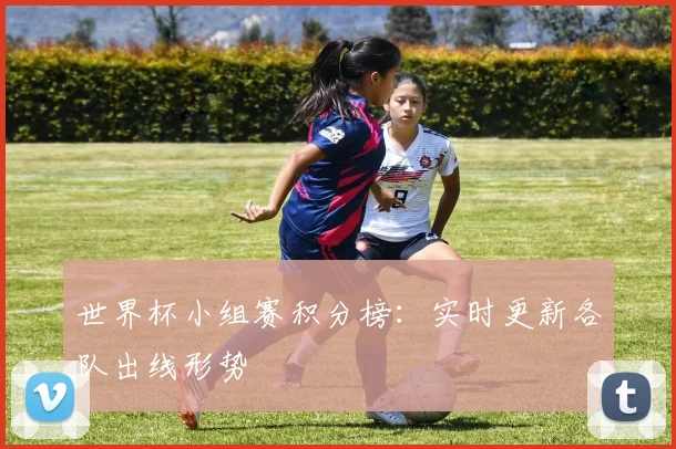 世界杯小组赛积分榜:实时更新各队出线形势