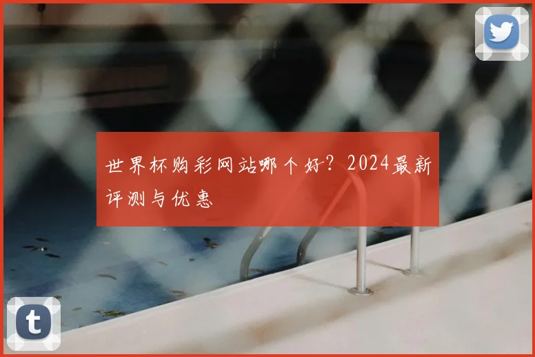 世界杯购彩网站哪个好？2024最新评测与优惠
