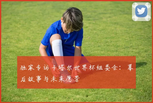 独家专访卡塔尔世界杯组委会：幕后故事与未来愿景