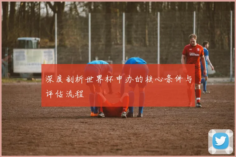 深度剖析世界杯申办的核心条件与评估流程