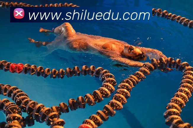 必一体育sport的合作伙伴平台生态图