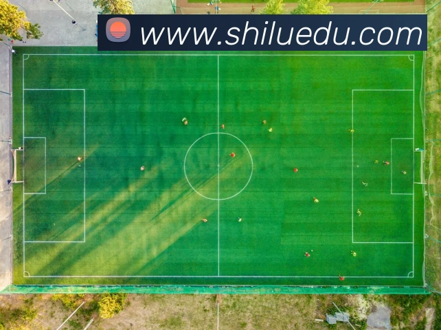 必一体育sport的合作伙伴APP 封面图